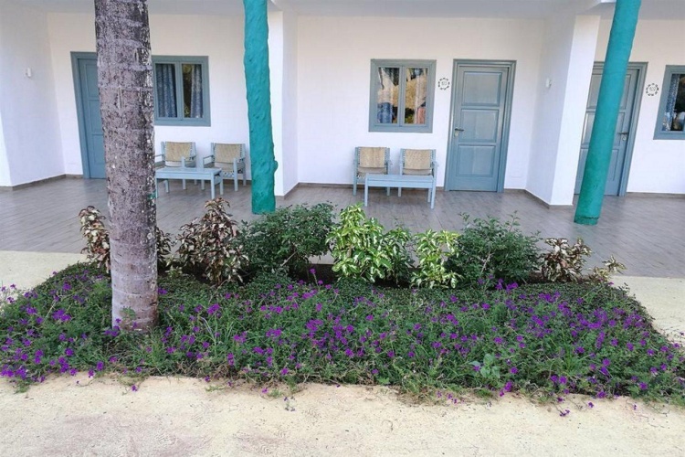 Kiwengwa Beach Resort photo 22