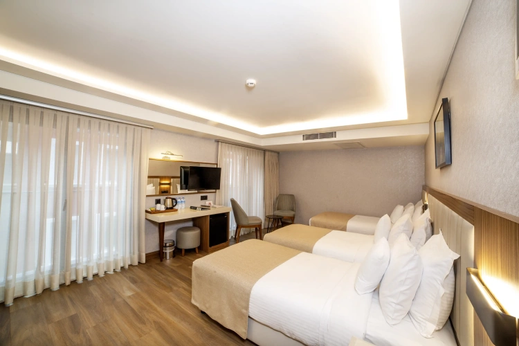Standard Triple room