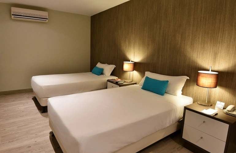 Superior Twin room with view
