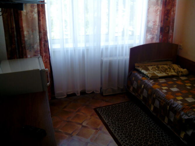 Фотография номера гостиницы Аэропорт