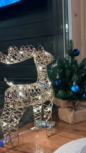 Фотография номера Коттеджа Частный Дом для пары Liрhouse