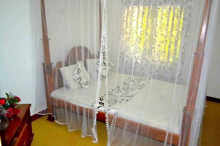 Deluxe Double room with mountain view