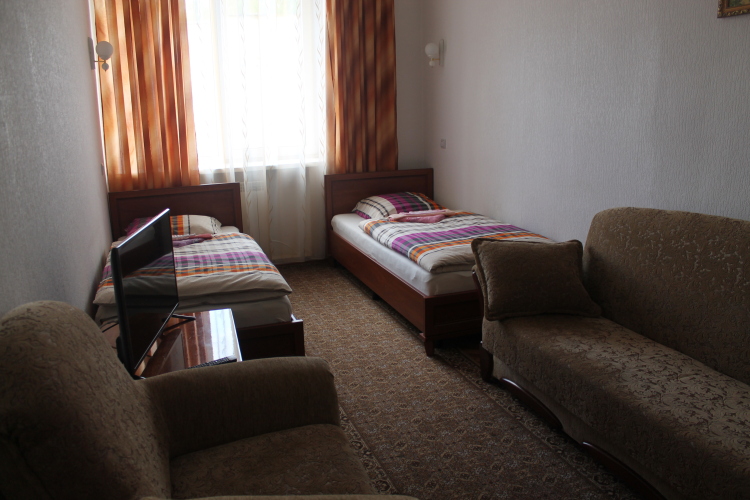 Фотография номера гостиницы Дом Дружбы