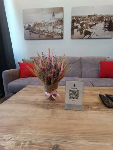 Фотография номера квартиры Апартаменты Lilienthal