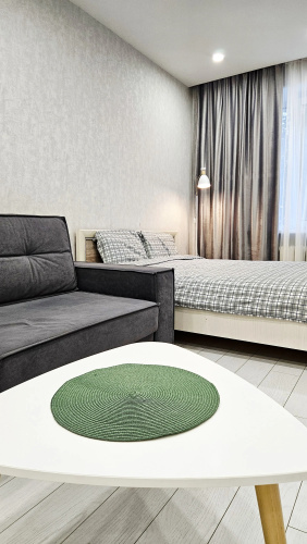 Studiya v Tsentre Goroda Flat