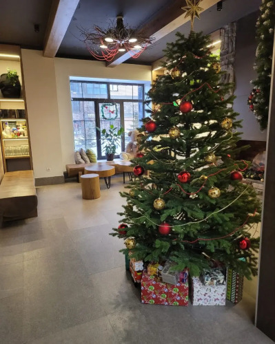 Фотография номера квартиры Квартира 1-комнатная с сауной и джакузи в ЖК Scandis