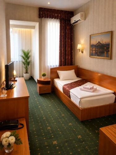 Standard Single room with view