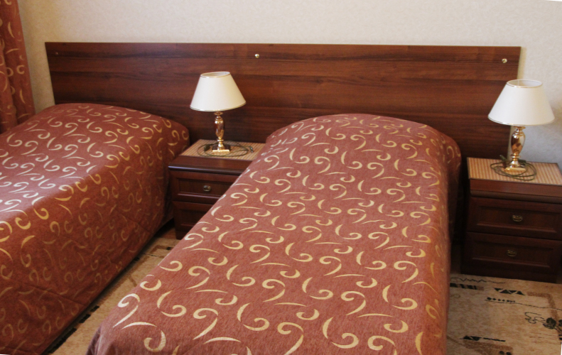 Фотография номера гостиницы Державная