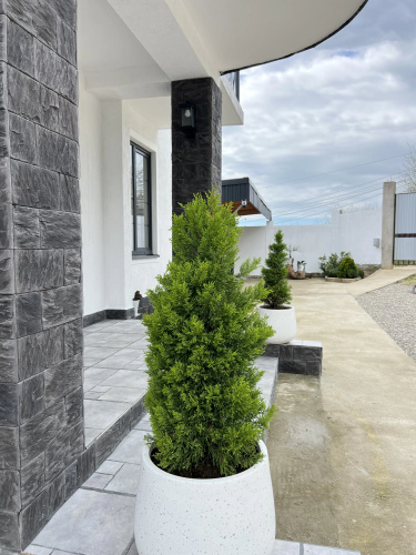 Edern Apartments
