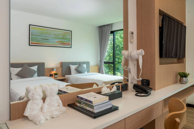 Deluxe Twin room with view
