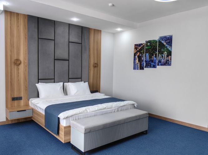 Deluxe room with balcony and with city view