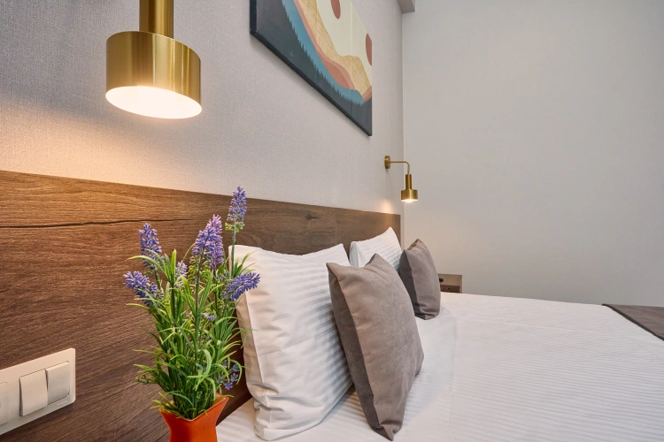 Superior Double room with balcony and with view