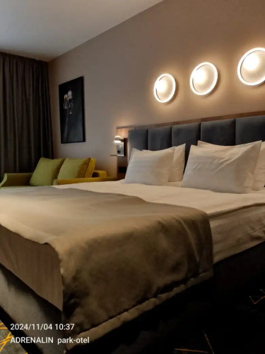 Фотография номера гостиницы Парк-Отель Адреналин
