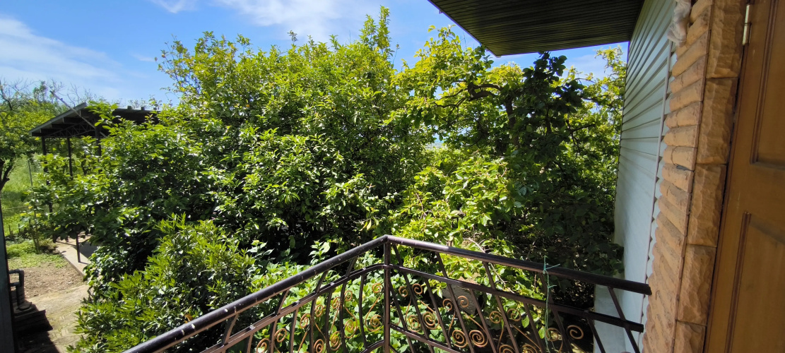 Tsitrus Guest house