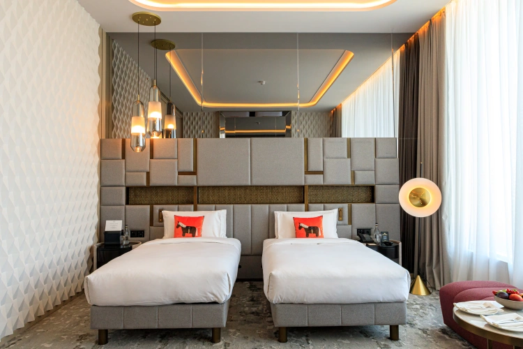 Superior Twin room with city view
