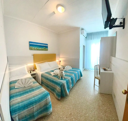 Standard room with balcony and with partial sea view
