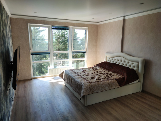 Фотография номера квартиры Апартаменты Sea View Светлый Мир