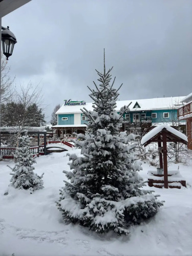 Изображение 1