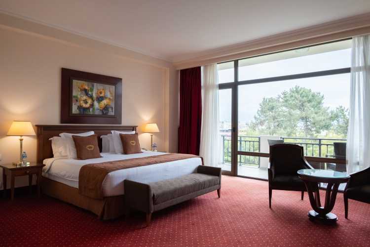 Superior Twin room with balcony and with garden and sea view