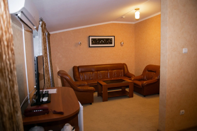 Фотография номера гостиницы Риони