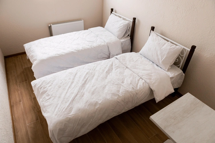 Standard Twin room with view