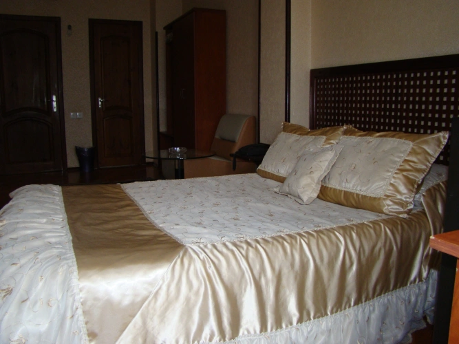 Standard Single room with balcony and with view