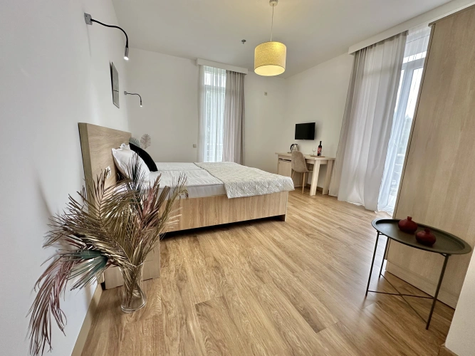 Standard Double room with balcony and with view