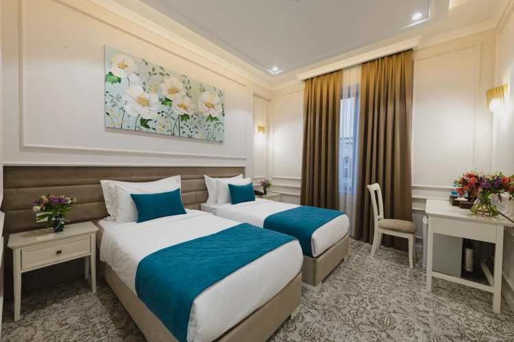 Deluxe Twin room with view