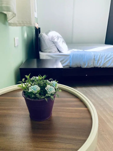 City Hostel