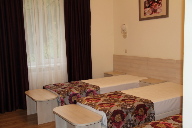 Фотография номера гостиницы Акварели.RUS