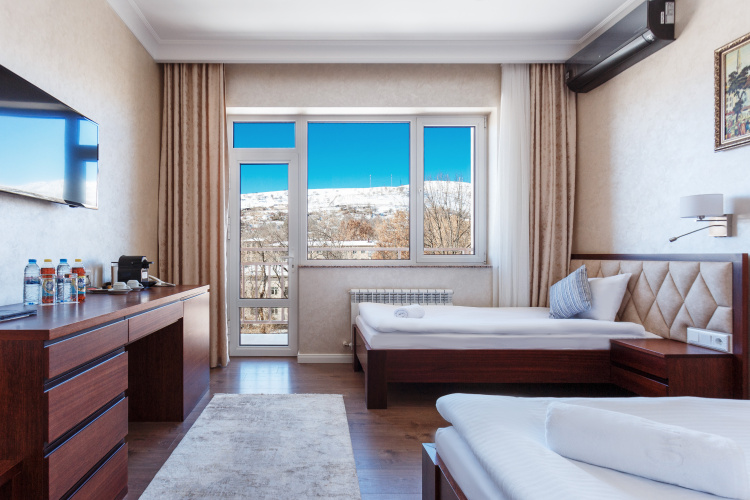 Standard Twin room with balcony and with view