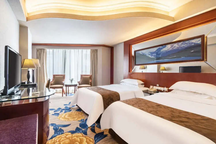 Business Twin room with view