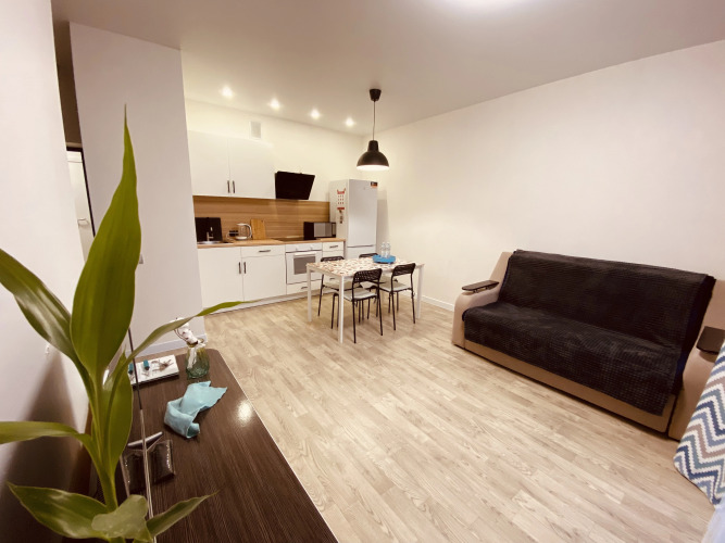 Фотография номера квартиры Апартаменты Romanov232