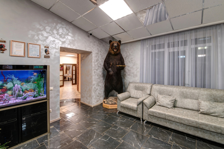 Изображение 1