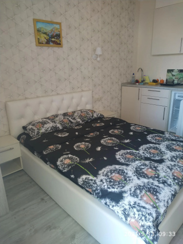 Фотография номера квартиры Апартаменты apart Mir