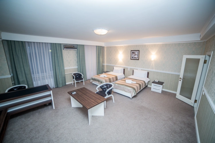 Twin Junior Suite with view