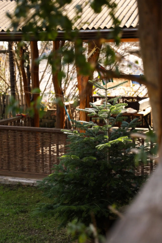 Guest house Kovcheg