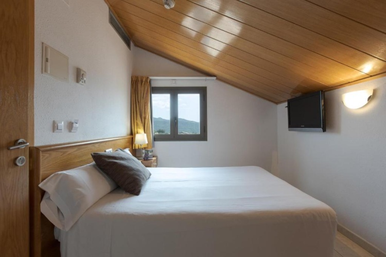 Standard Double room with mountain view
