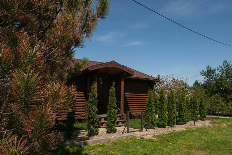 Фотография номера гостиницы Кедровый бор