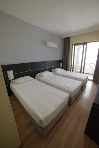 Standard Triple room with balcony and with view
