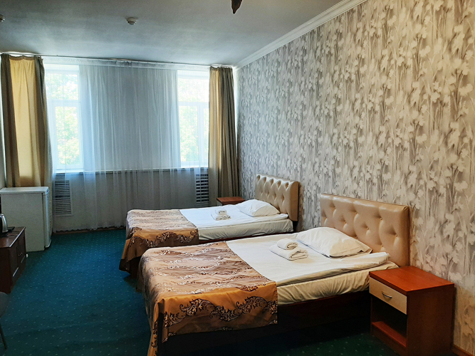 Фотография номера гостиницы Азалия на Нариманова