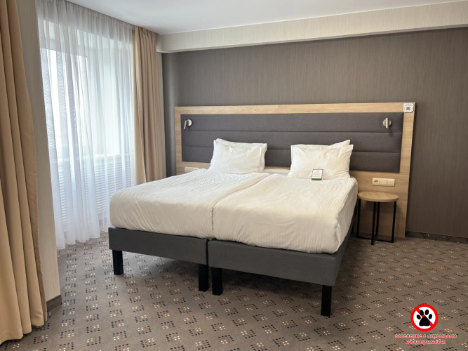 Фотография номера гостиницы Амакс Золотое кольцо