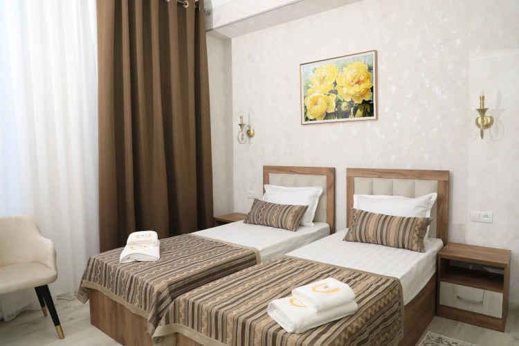 Standard Twin room with view