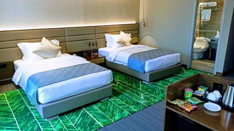 Deluxe Twin room with view