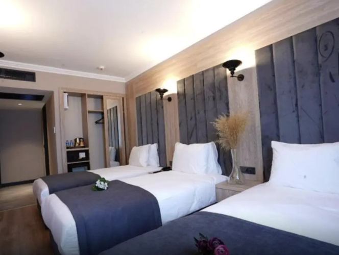 Standard Triple room