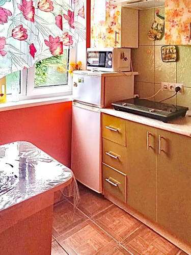 V Tsentre Goroda Flat