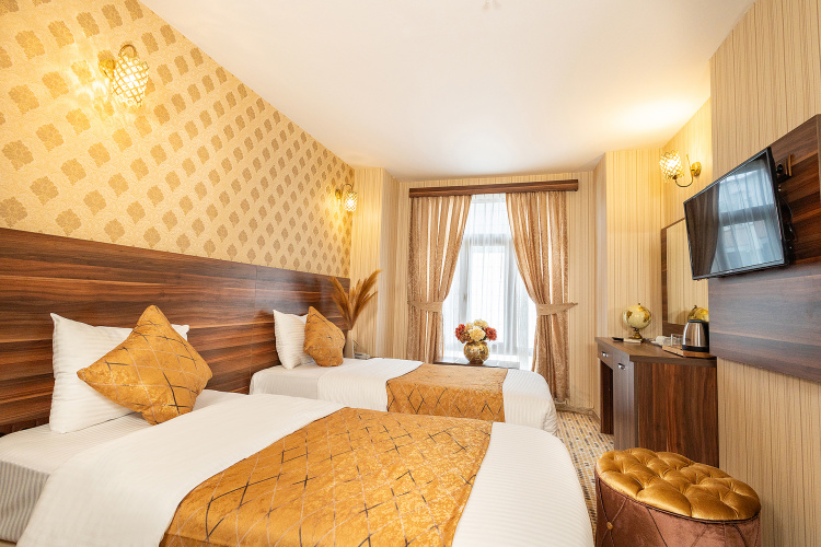 Standard Twin room with view