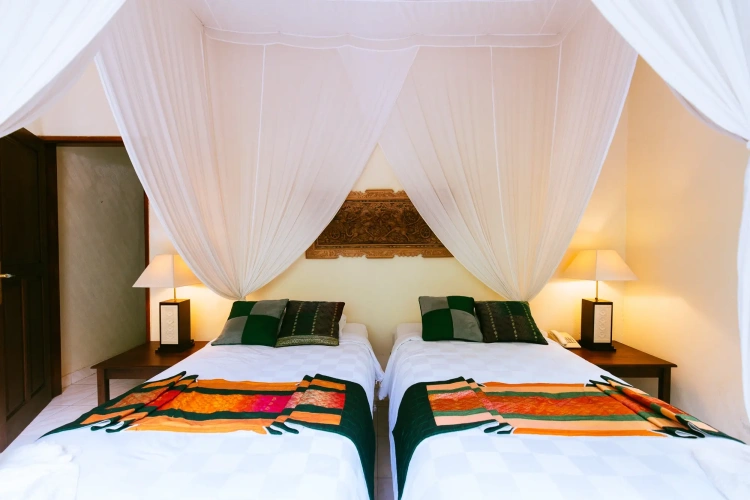Deluxe Double room with balcony and with view