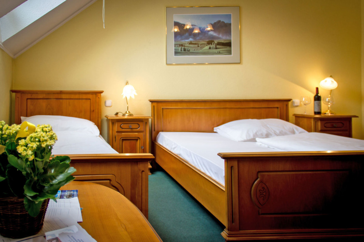 Standard Triple room with city view