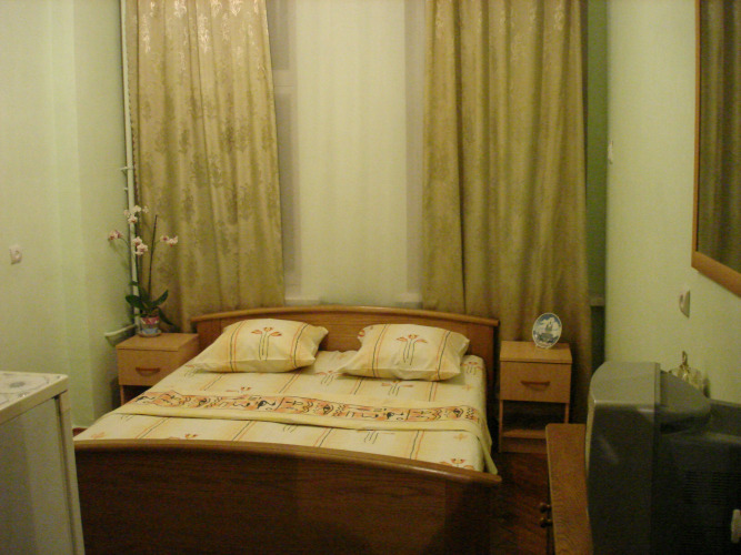 Фотография номера гостиницы Родина